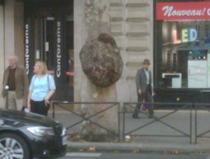 Burl in France